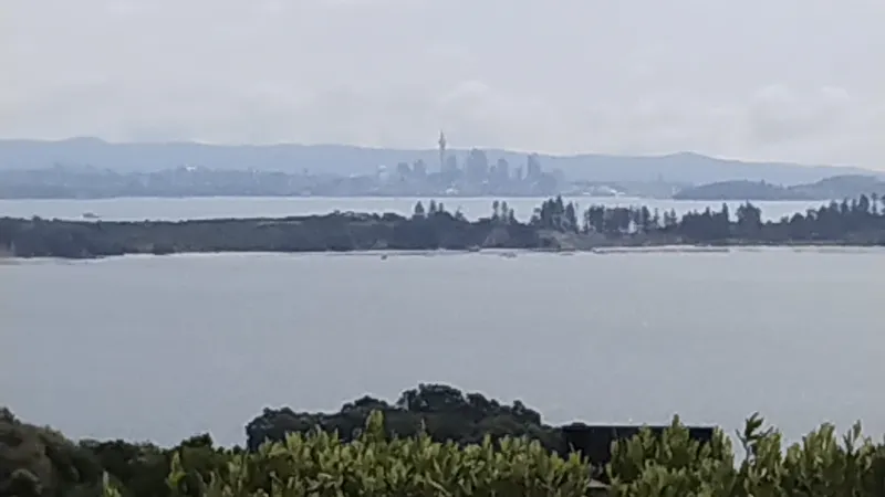 IMG_20241129_160106842