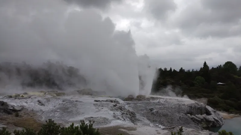 IMG_20241130_152504941