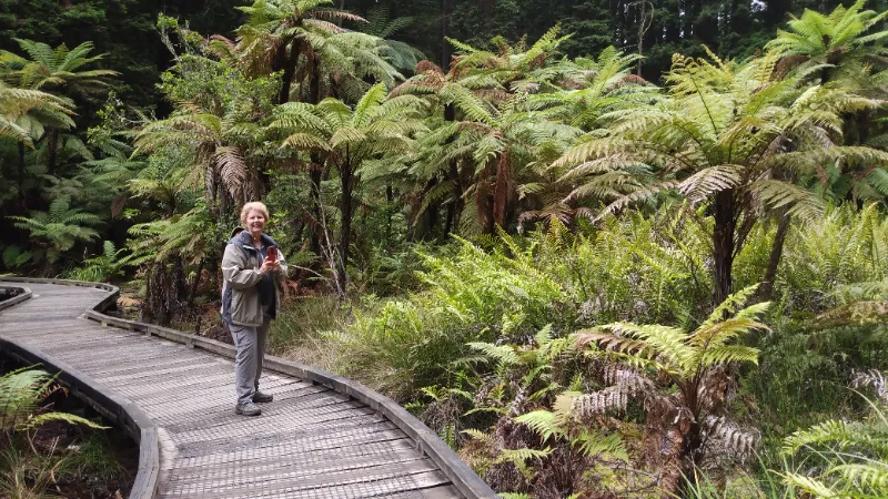 IMG_20241201_152202749