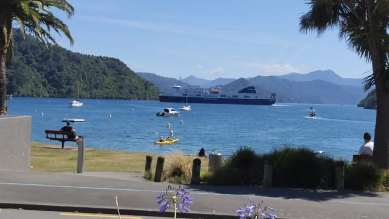 IMG_20241215_104842009