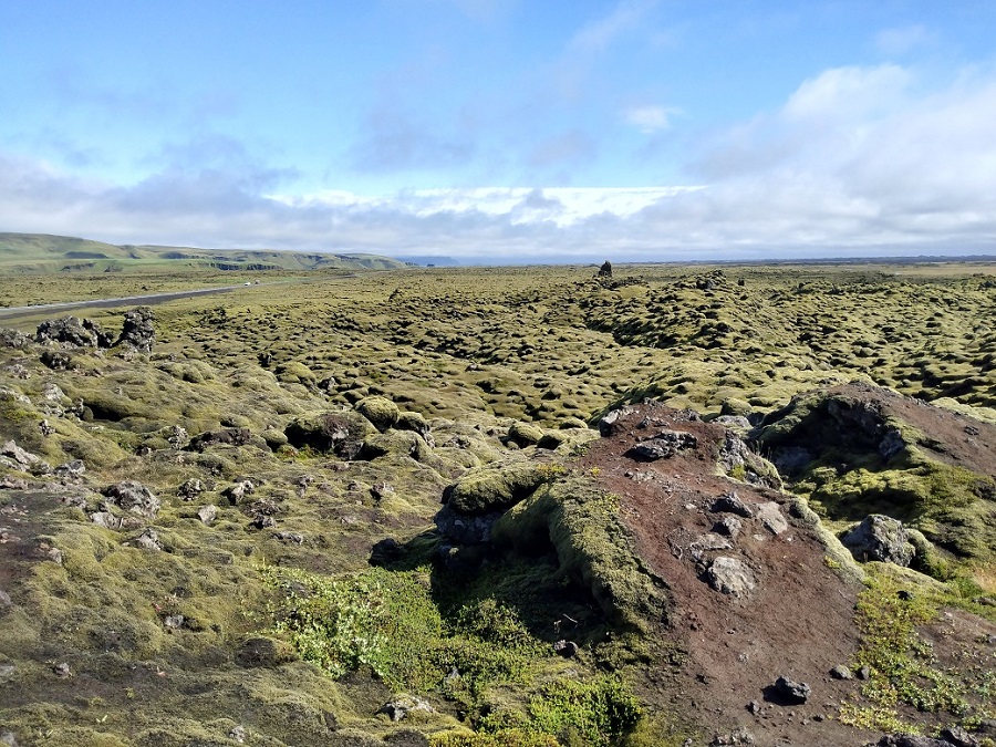 IMG_20220809_114306075_HDR